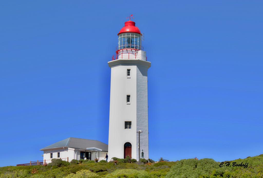 Walkerbay Accommodation 干斯拜 外观 照片